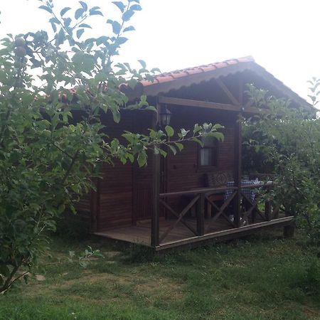 Salkim Konak Ve Agac Evler Selçuk Ruang foto