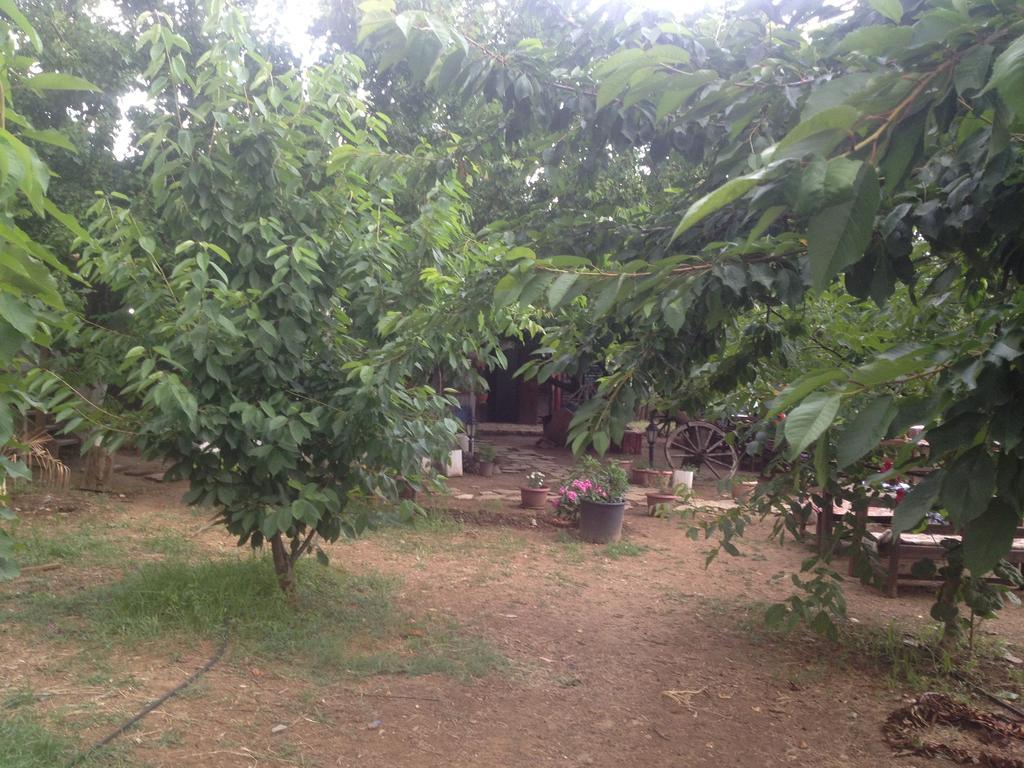 Salkim Konak Ve Agac Evler Selçuk Ruang foto