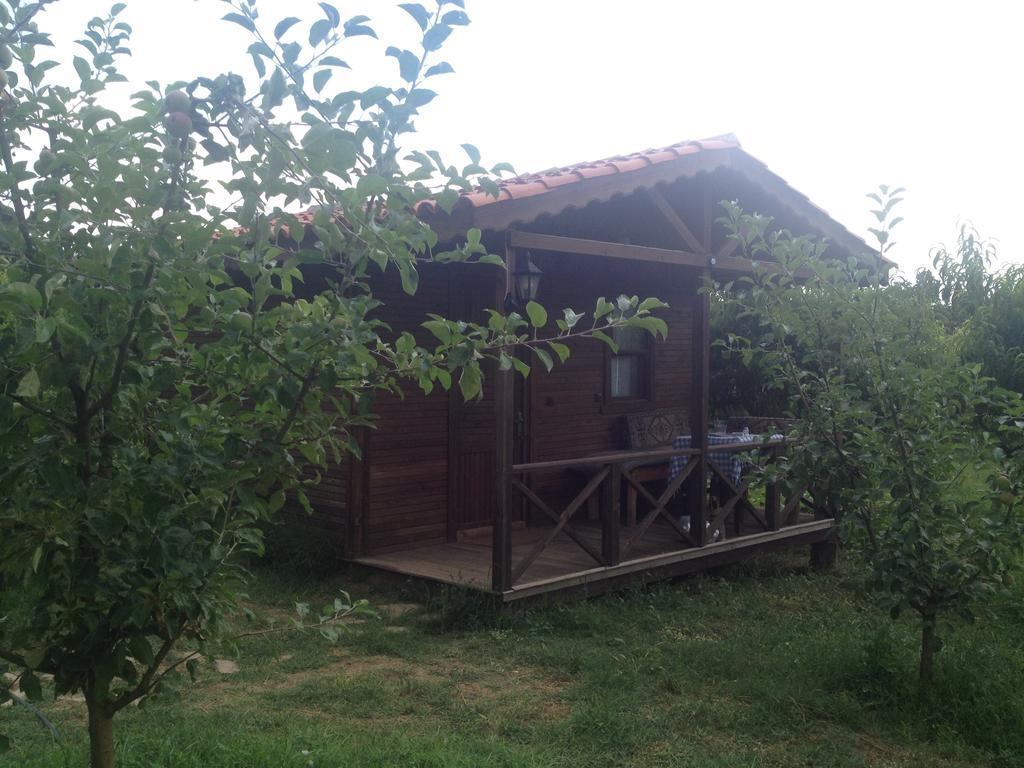 Salkim Konak Ve Agac Evler Selçuk Ruang foto