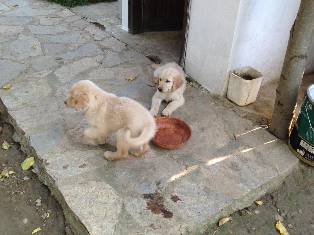 Salkim Konak Ve Agac Evler Selçuk Bagian luar foto