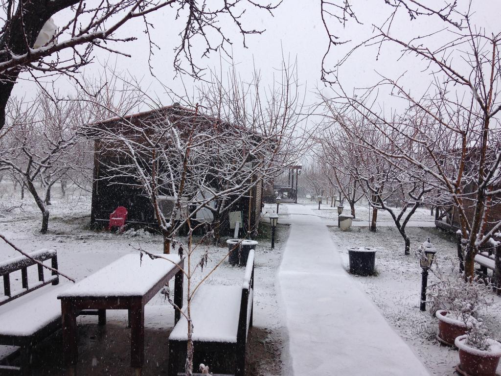 Salkim Konak Ve Agac Evler Selçuk Bagian luar foto