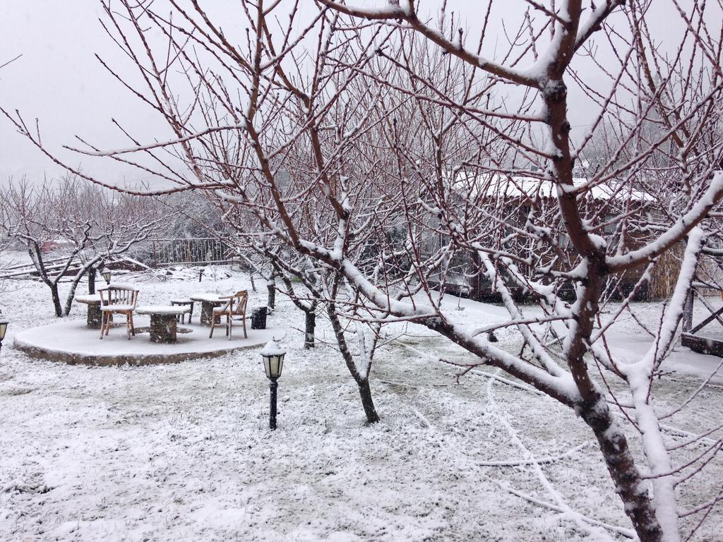 Salkim Konak Ve Agac Evler Selçuk Bagian luar foto