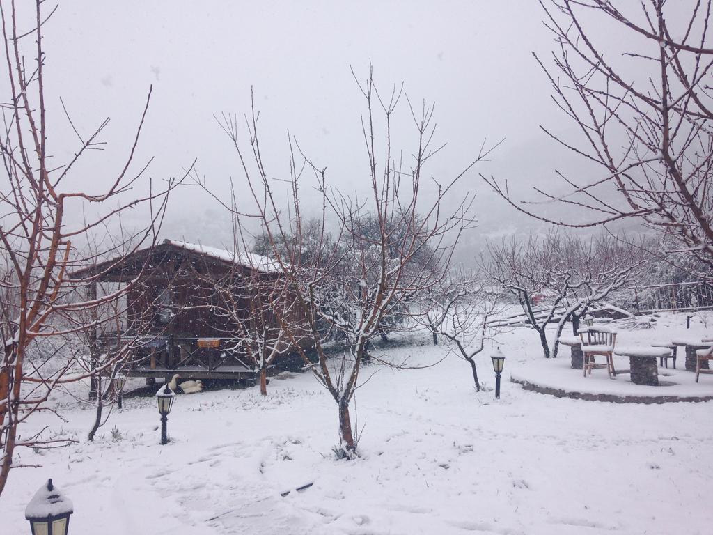 Salkim Konak Ve Agac Evler Selçuk Bagian luar foto