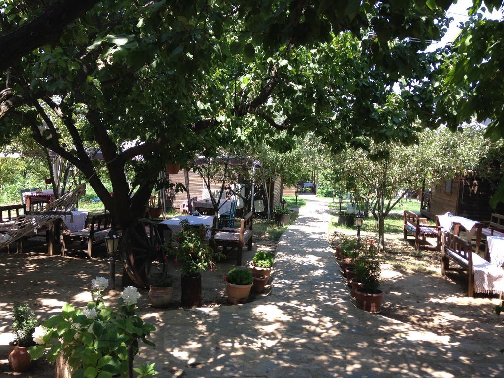 Salkim Konak Ve Agac Evler Selçuk Bagian luar foto